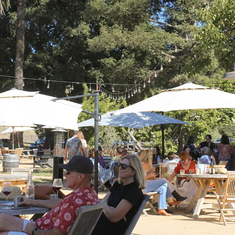 Golden Hour at Folded Hills Winery