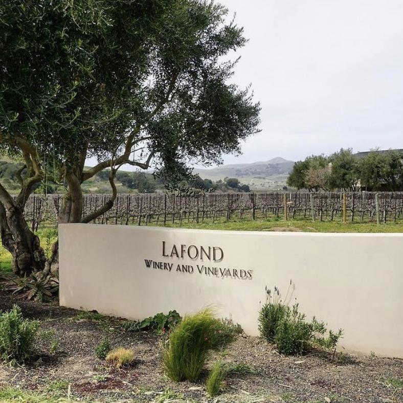 Lafond Winery & Vineyards