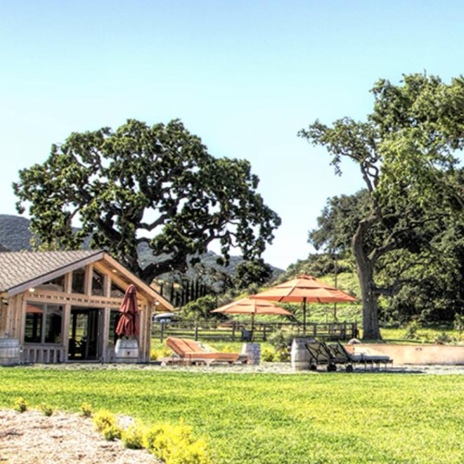 Lavendar Oak Vineyard