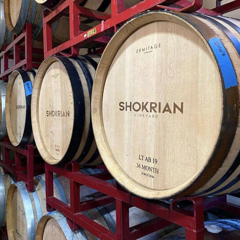 Shokrian Vineyard