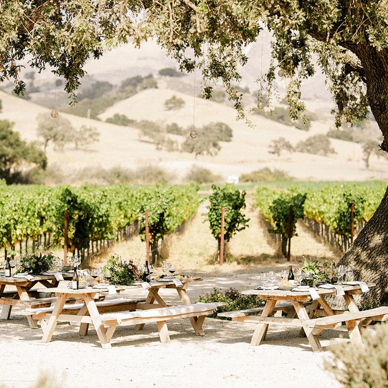 Zaca Mesa Winery