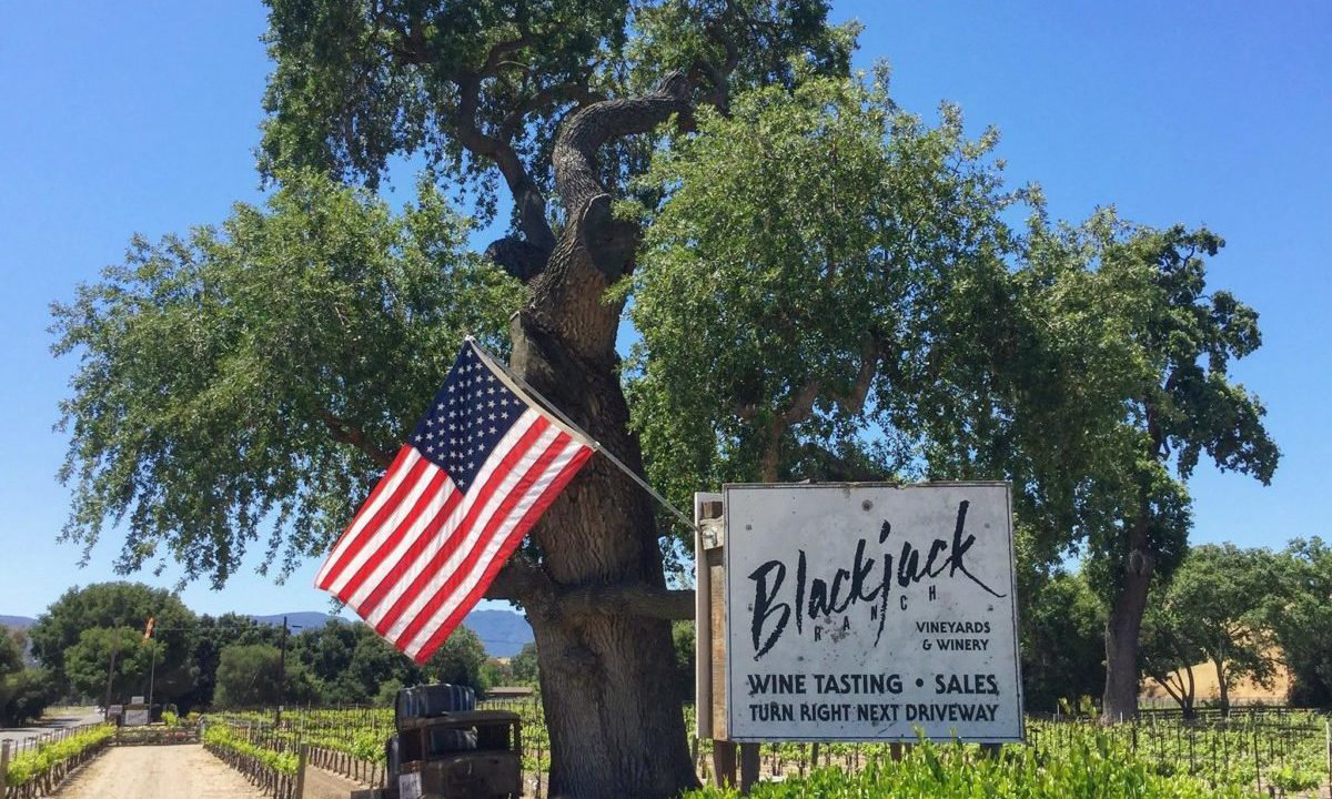 Blackjack Ranch Vineyards and Winery