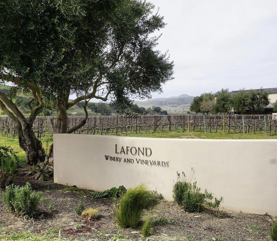 Lafond Winery & Vineyards