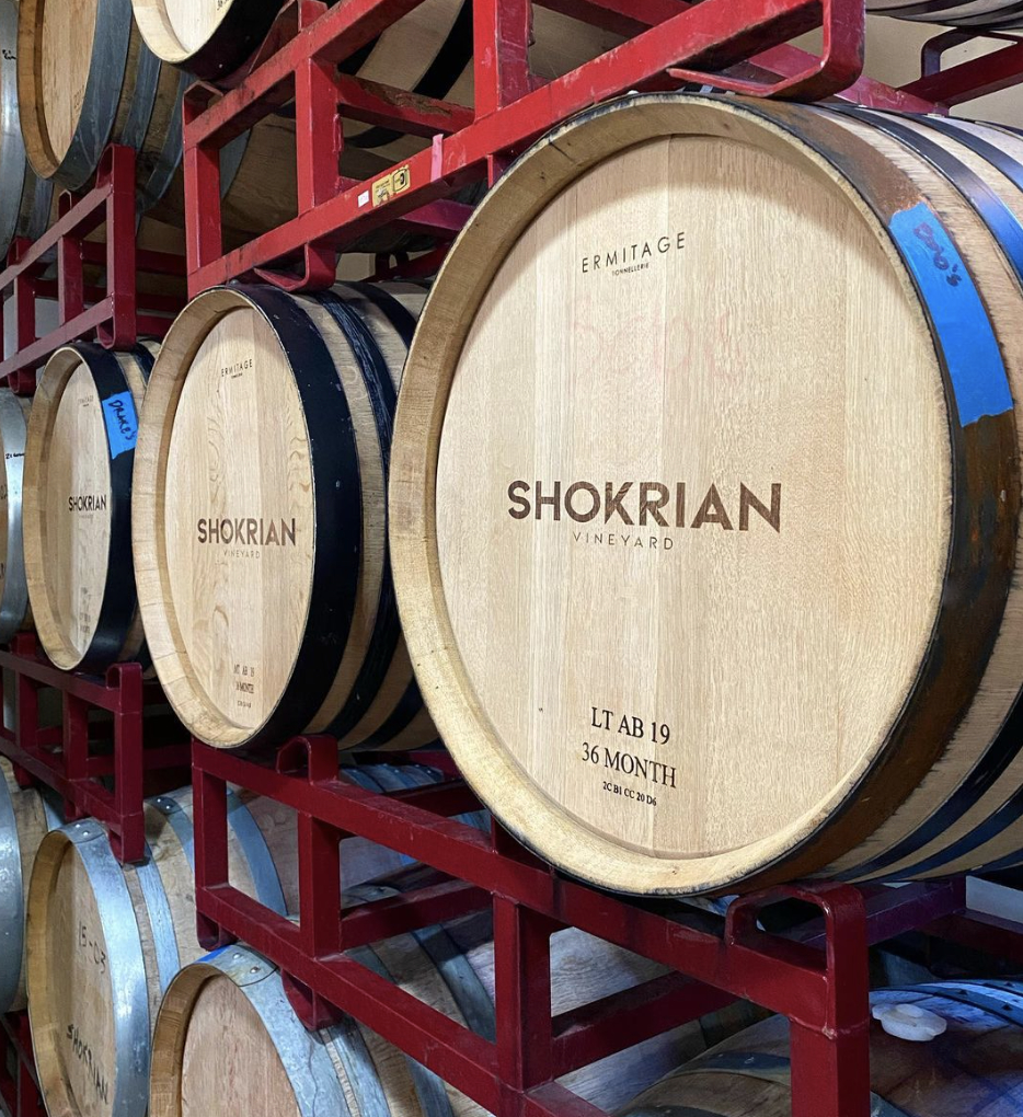 Shokrian Vineyard